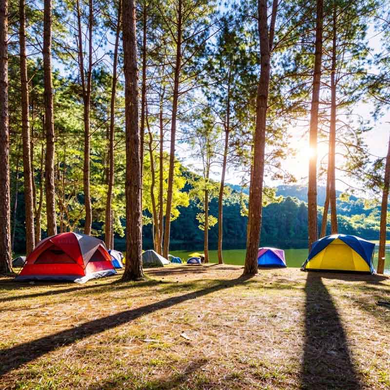 Campingartikler